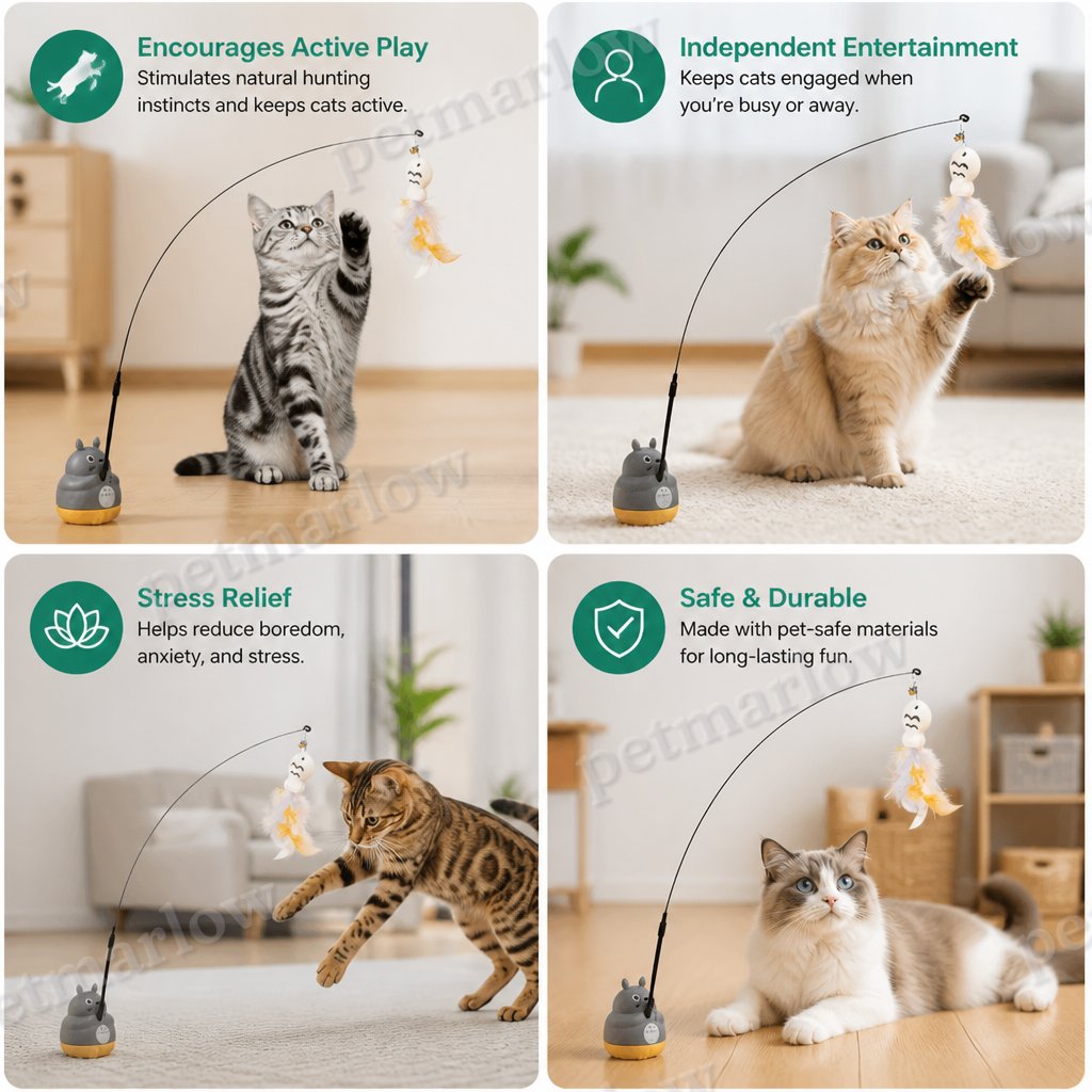 360° Interactive Self-Play Cat Teaser – view 4