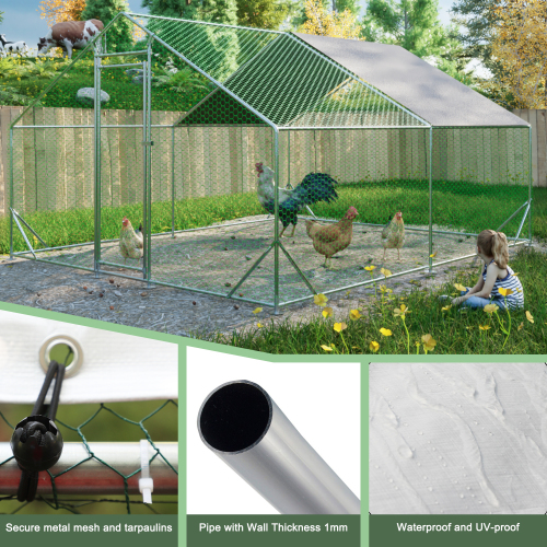 Large Metal Chicken Coop with Walk-In Design for Poultry – view 7