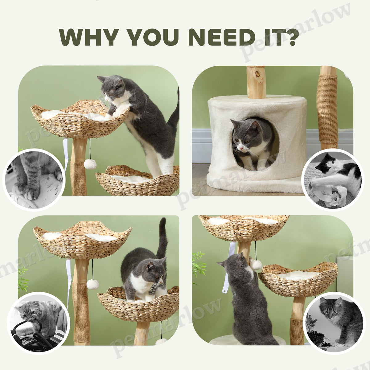 37 Inch Modern Cat Tree with Scratching Posts – view 3