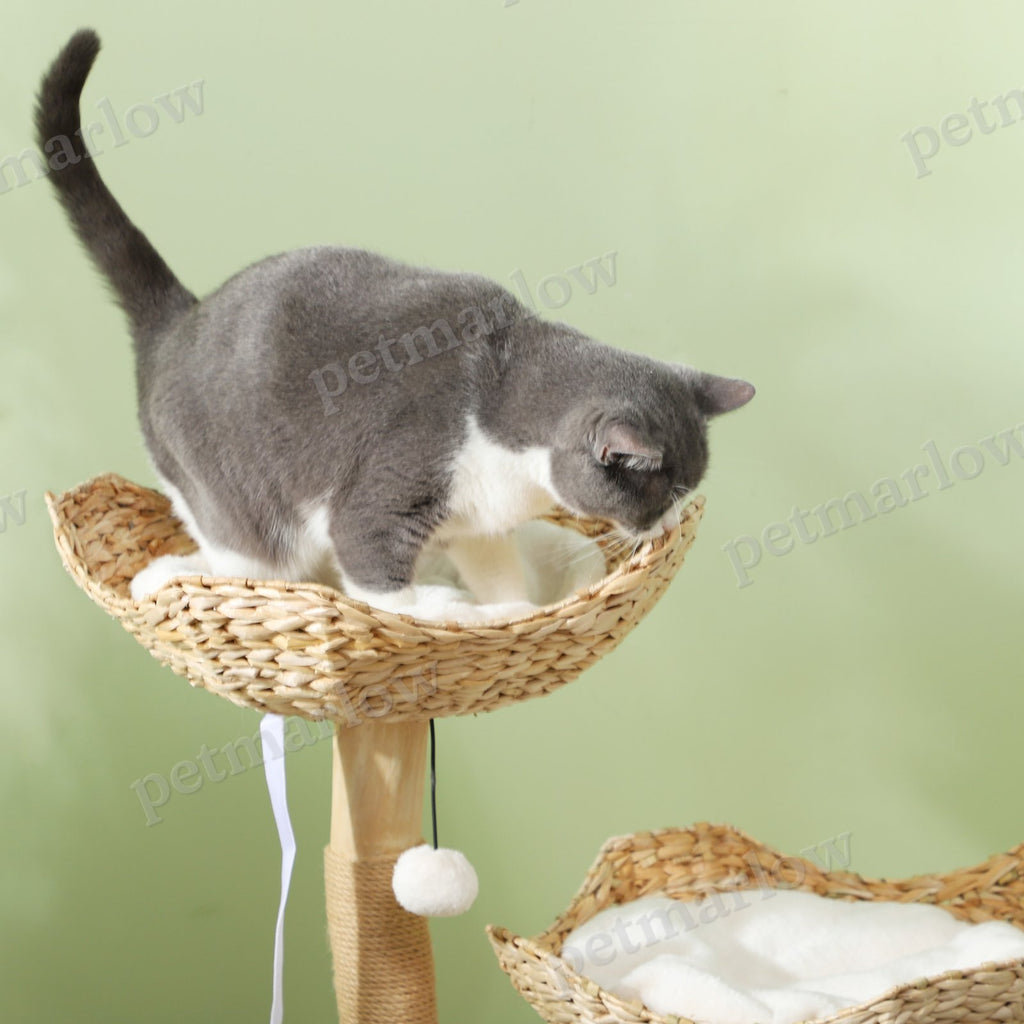 37 Inch Modern Cat Tree with Scratching Posts – view 4
