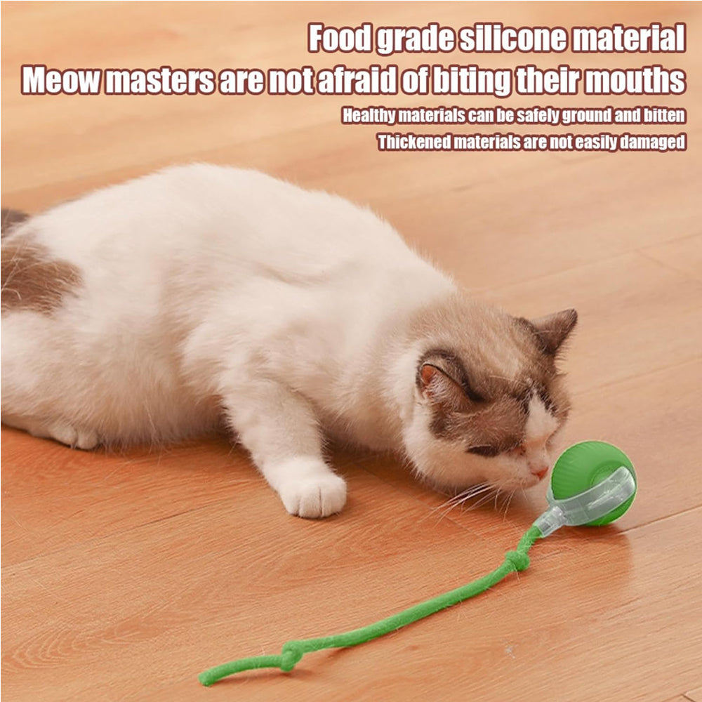 Interactive Rolling Cat Ball – view 14