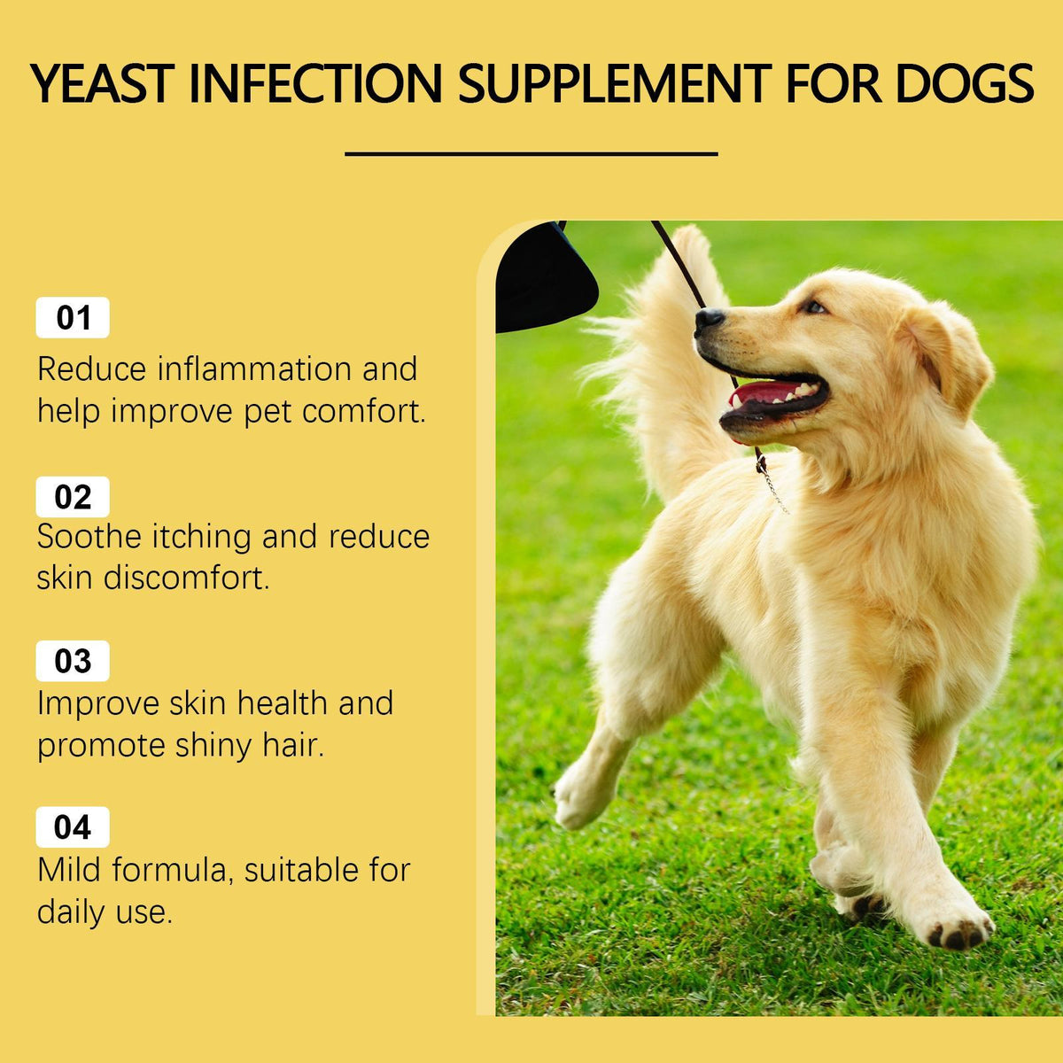 Herbal Yeast Supplement for Pet Skin Care – view 8