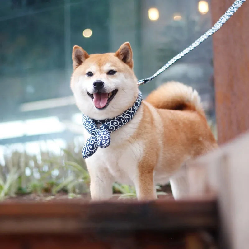 Cooling Dog Collar with Traditional Pattern for Hot Days – view 9