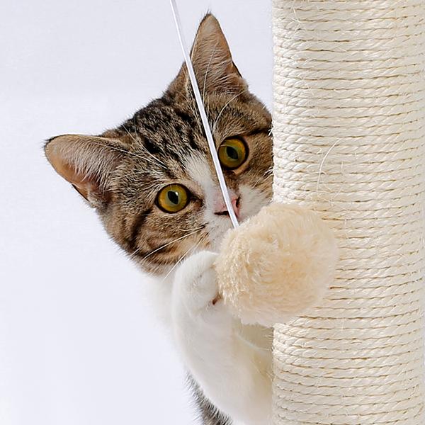 Sisal Cat Scratching Post with Ball Track