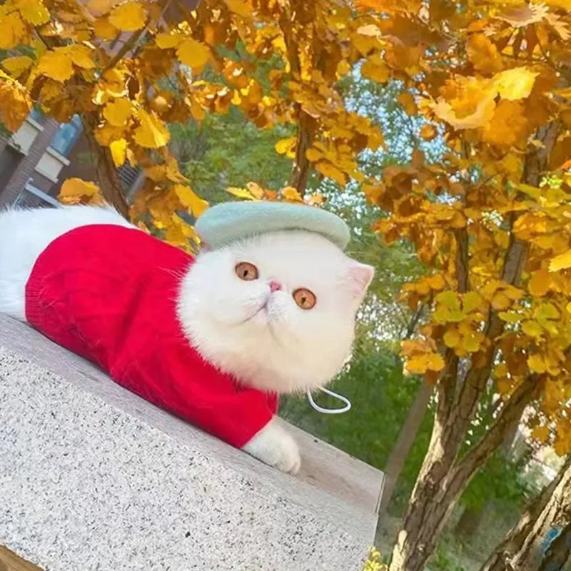 Felt Hat for Pets - Available in 3 Colours – view 10