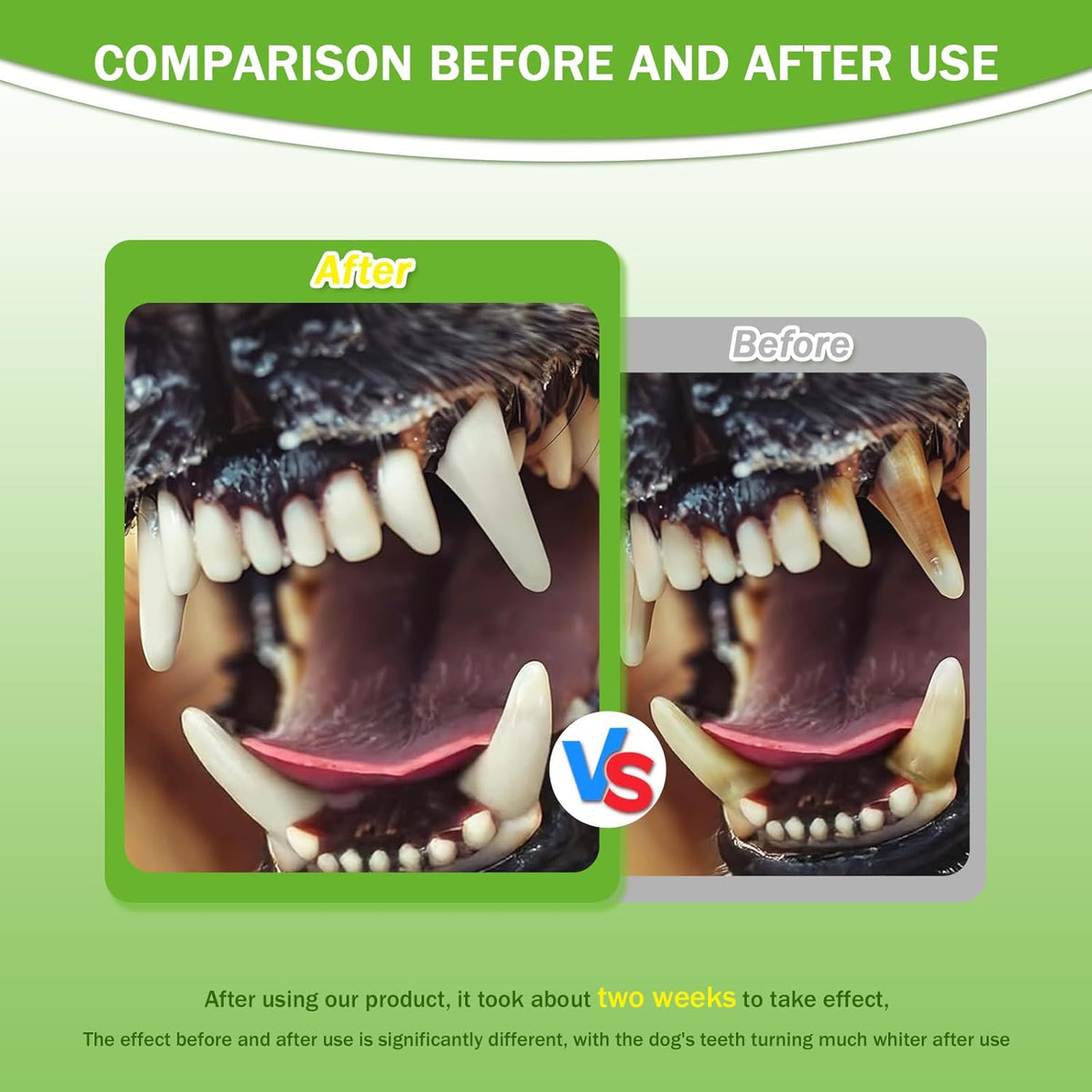 Pet Dental Powder for Fresh Breath and Healthy Gums – view 9