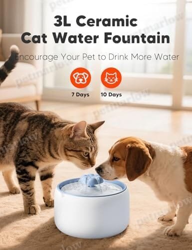 3L/101oz Automatic Pet Water Fountain for Cats & Dogs – view 4