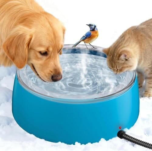 3L Heated Water Bowl, Outdoor Large Heated Dog Bowls
