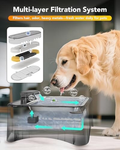 4 Heights Adjustable Pet Fountain for All Dog Sizes – view 7