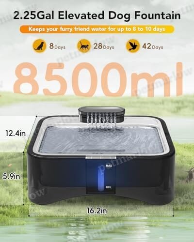 4 Heights Adjustable Pet Fountain for All Dog Sizes – view 4