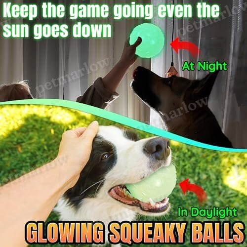 4-Pack Bouncy Glow in The Dark Dog Ball with Squeaker – view 2