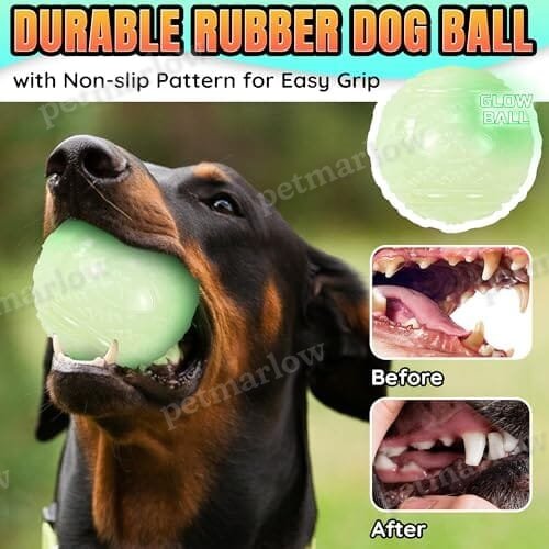 4-Pack Bouncy Glow in The Dark Dog Ball with Squeaker – view 5