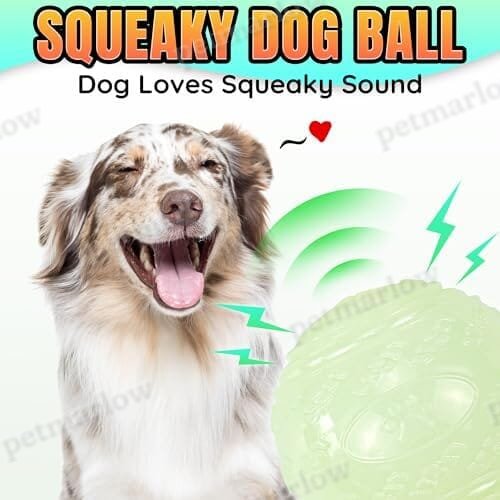 4-Pack Bouncy Glow in The Dark Dog Ball with Squeaker – view 6