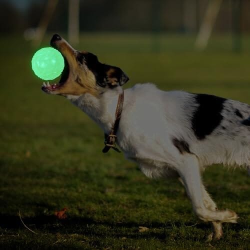 4-Pack Bouncy Glow in The Dark Dog Ball with Squeaker – view 7