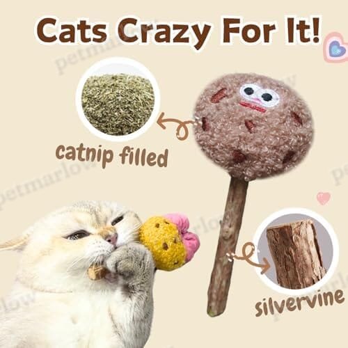 4 Pack Catnip & Silvervine Lollipops – view 2