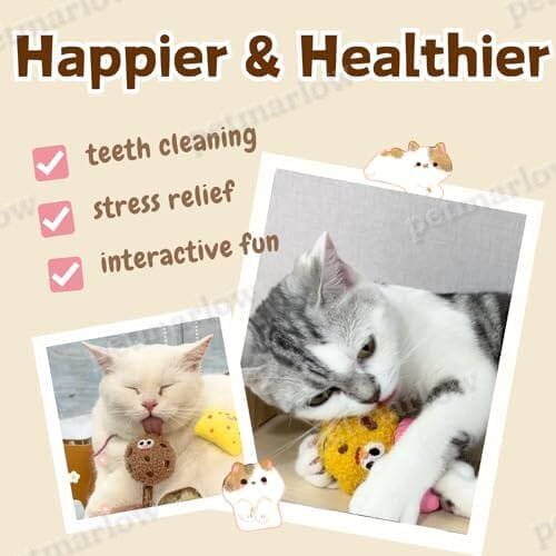 4 Pack Catnip & Silvervine Lollipops – view 3