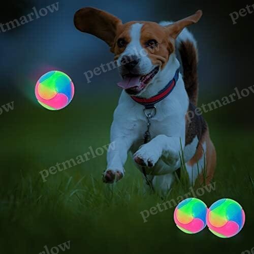 4 pcs Light Up Dog Balls Interactive Pet Toys – view 3