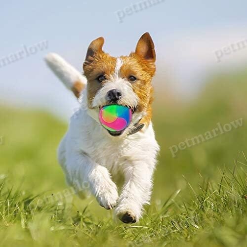 4 pcs Light Up Dog Balls Interactive Pet Toys – view 4