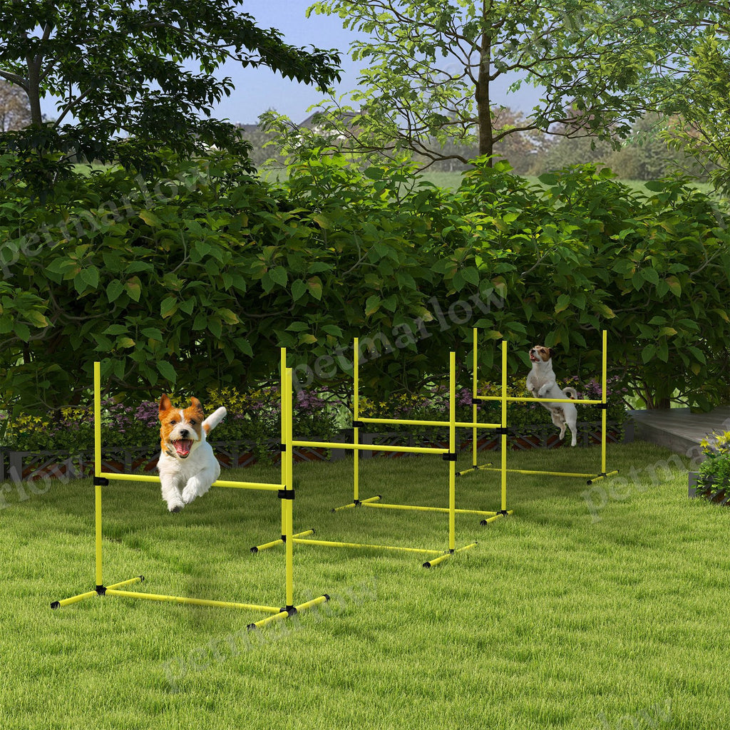 4 Piece Dog Agility Set with Adjustable Height Jump Bars – view 4
