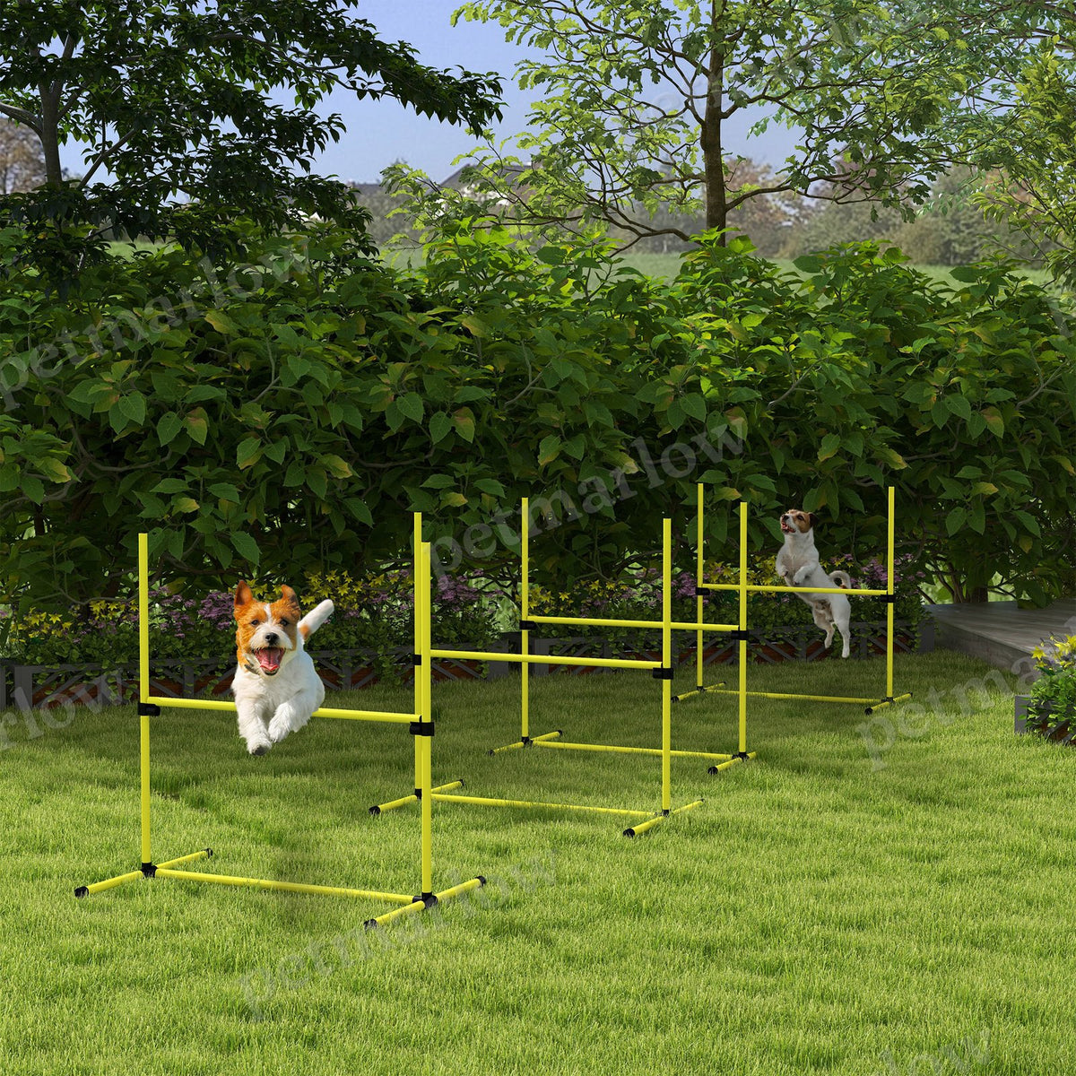 4 Piece Dog Agility Set with Adjustable Height Jump Bars – view 4
