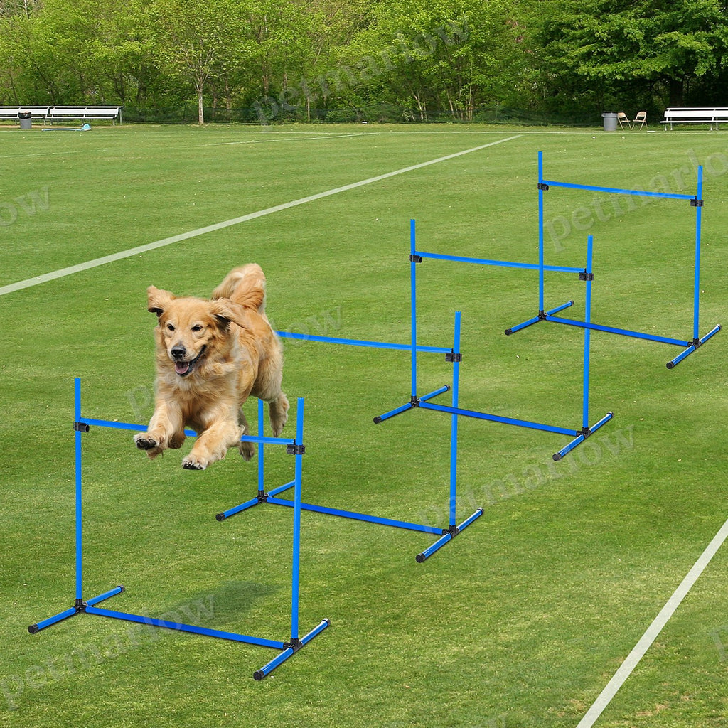 Dog Agility Starter Kit with Adjustable Height Jump Bars – view 5
