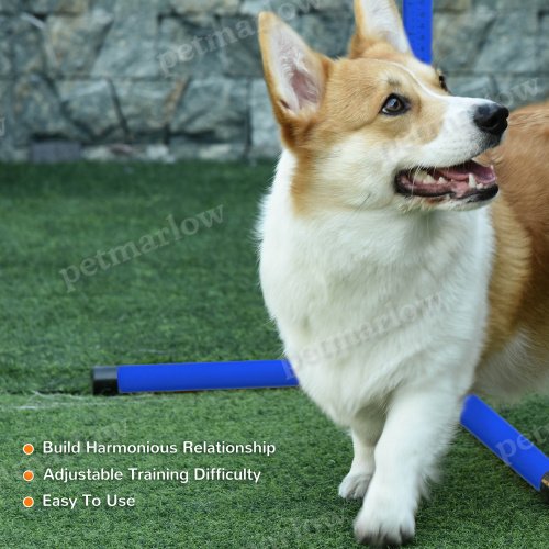 4-Piece Dog Agility Training Equipment with Adjustable Jumps – view 6