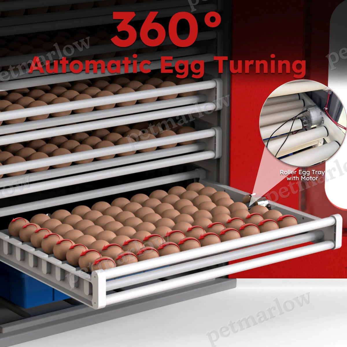 400-Egg Poultry Incubator with Auto-Turning & Digital Control – view 5