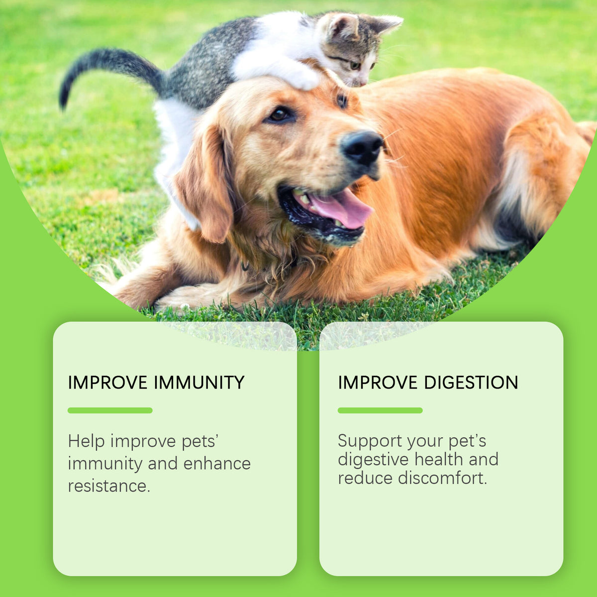 Pet Probiotics & Vitamin Tablets for Dogs and Cats – view 9