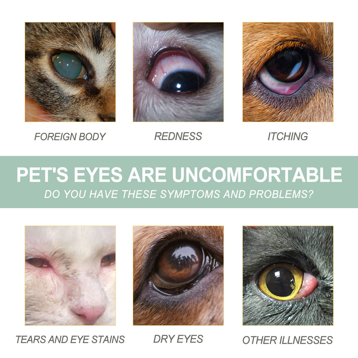 Pet Eye Drops for Dogs & Cats, Gentle Eye Cleaner – view 10