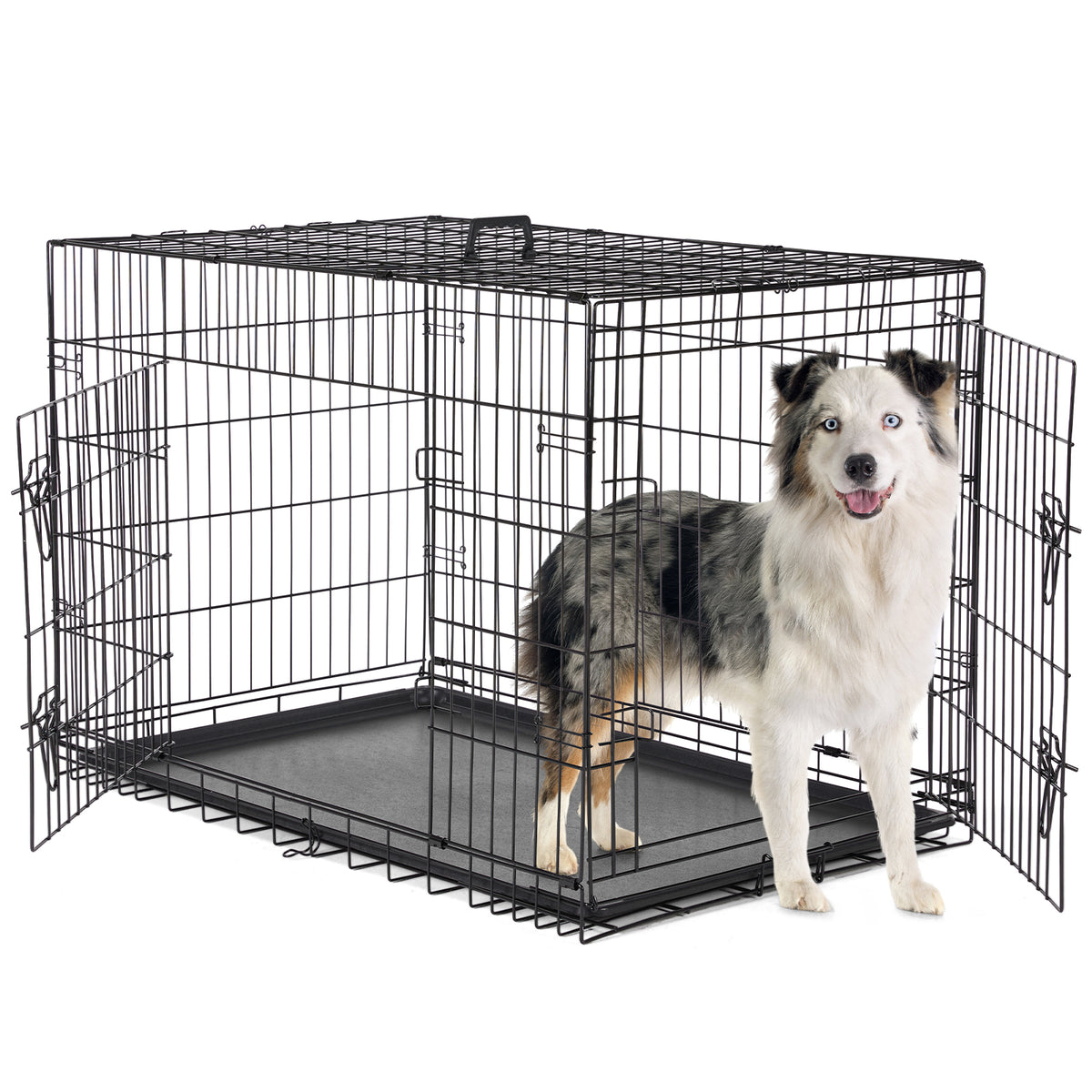 Metal Dog Crate with Two Doors