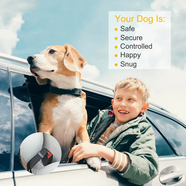 Pet Dog Seat Belt Leash for Safe Travel – view 9