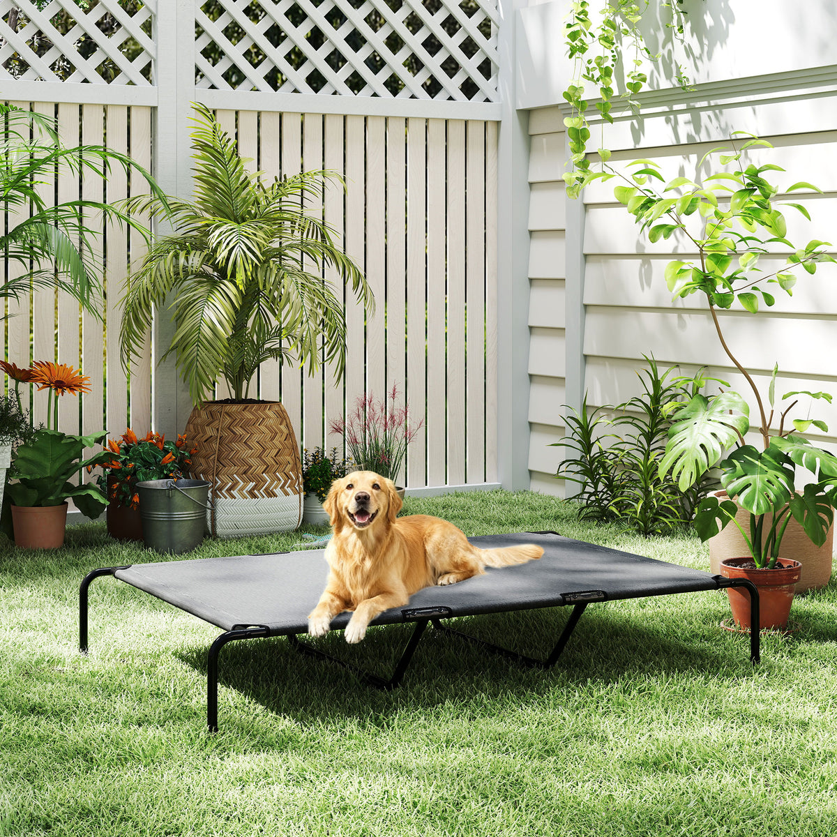 Elevated Dog Bed for Large Breeds Gray 60"L – view 8