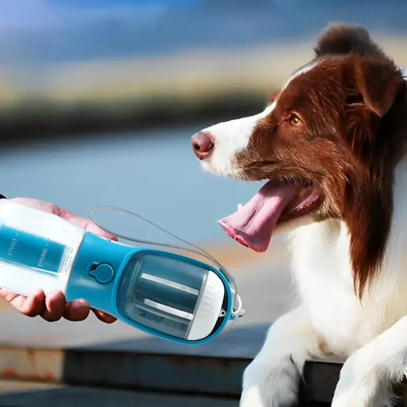 3-in-1 Dog Water & Food Bottle – view 12