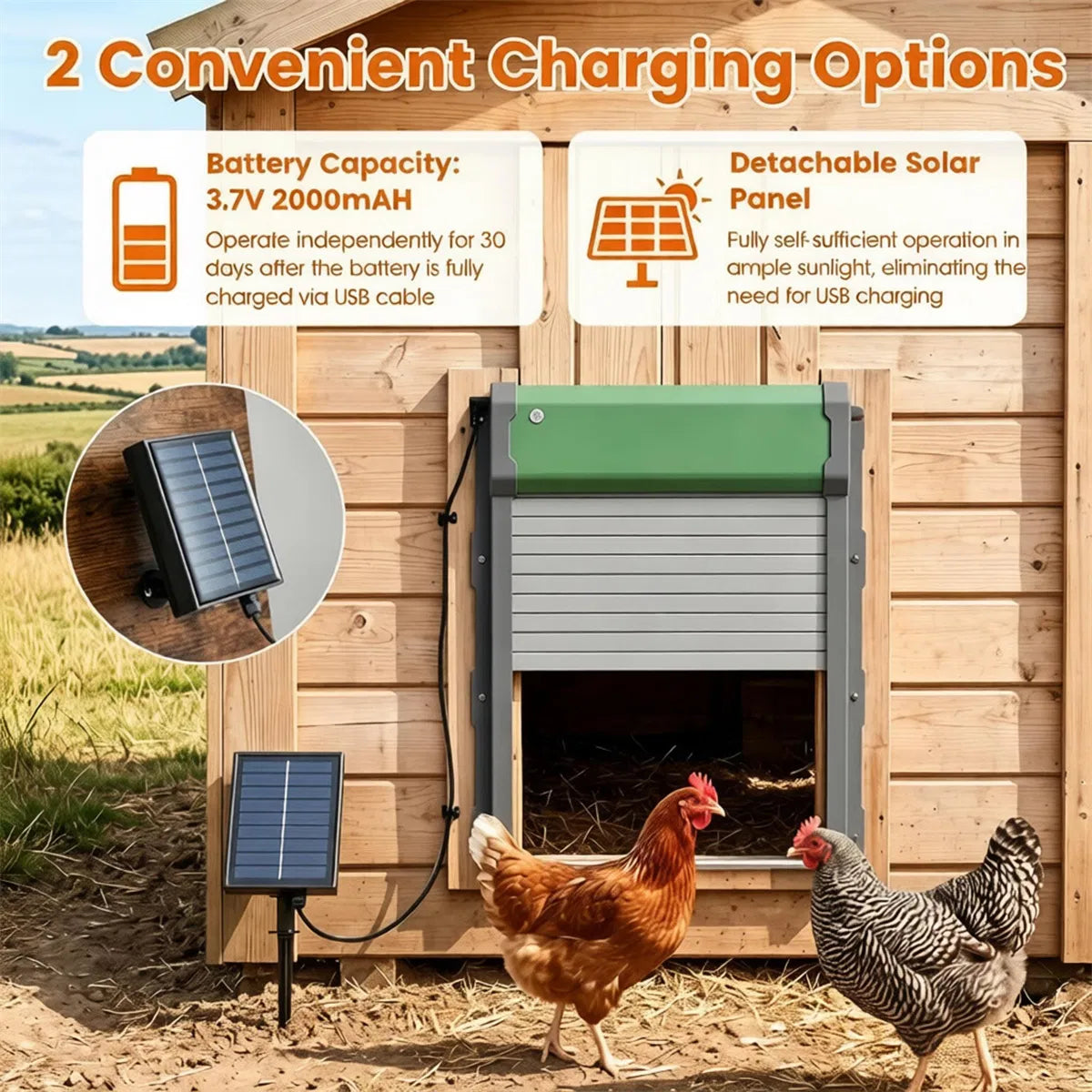 Automatic Chicken Coop Door with Solar Power and Remote Control – view 11