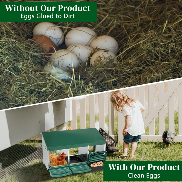 3 Compartment Chicken Nesting Box for Poultry Comfort – view 9
