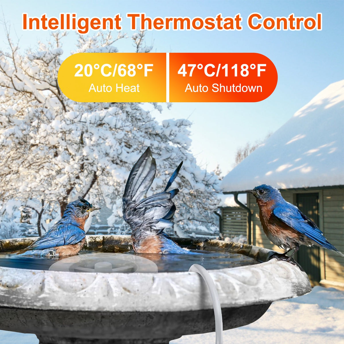 Bird Bath Heater Keeps Water Warm for Winter – view 8