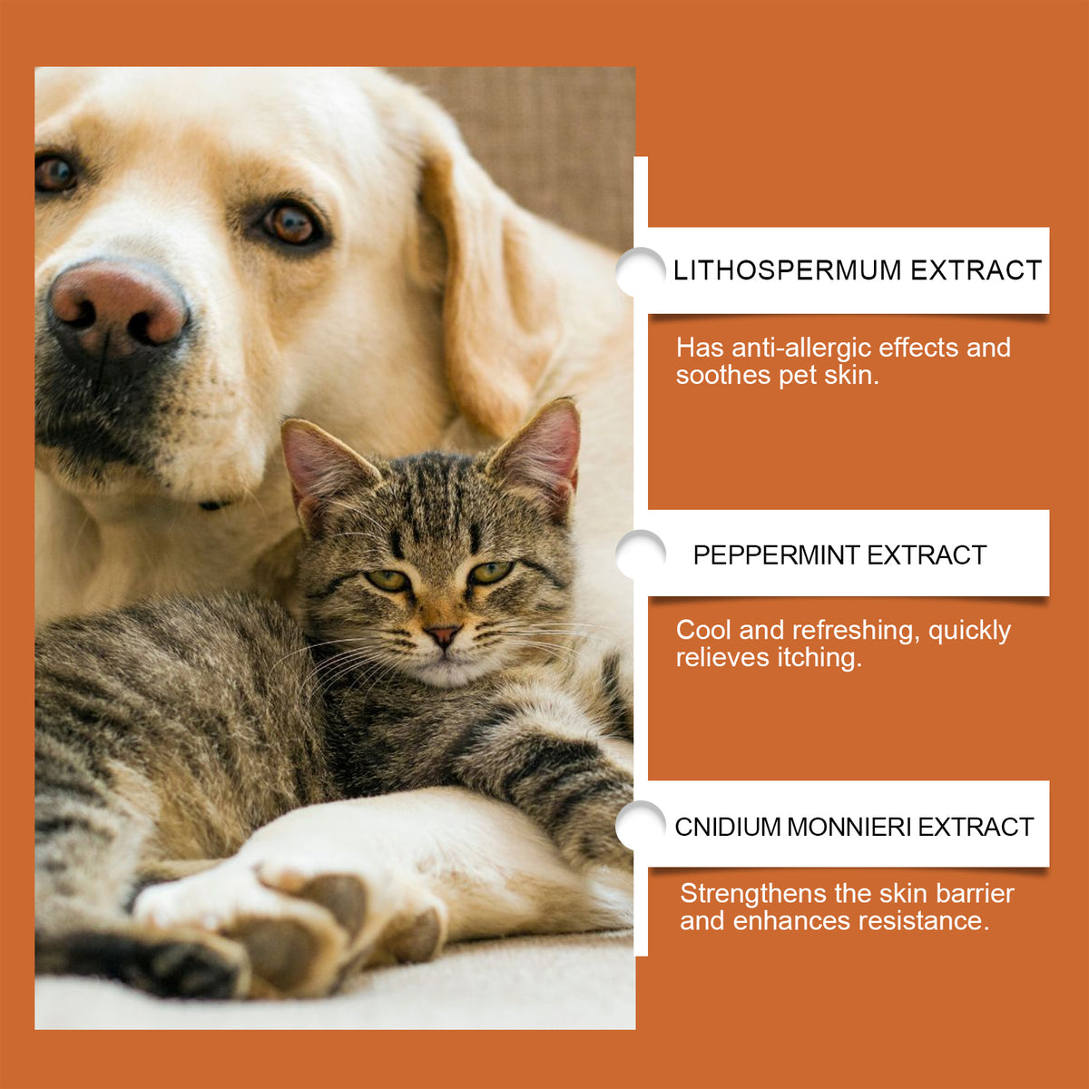 Pet Itch & Allergy Relief Cream for Dogs and Cats – view 7