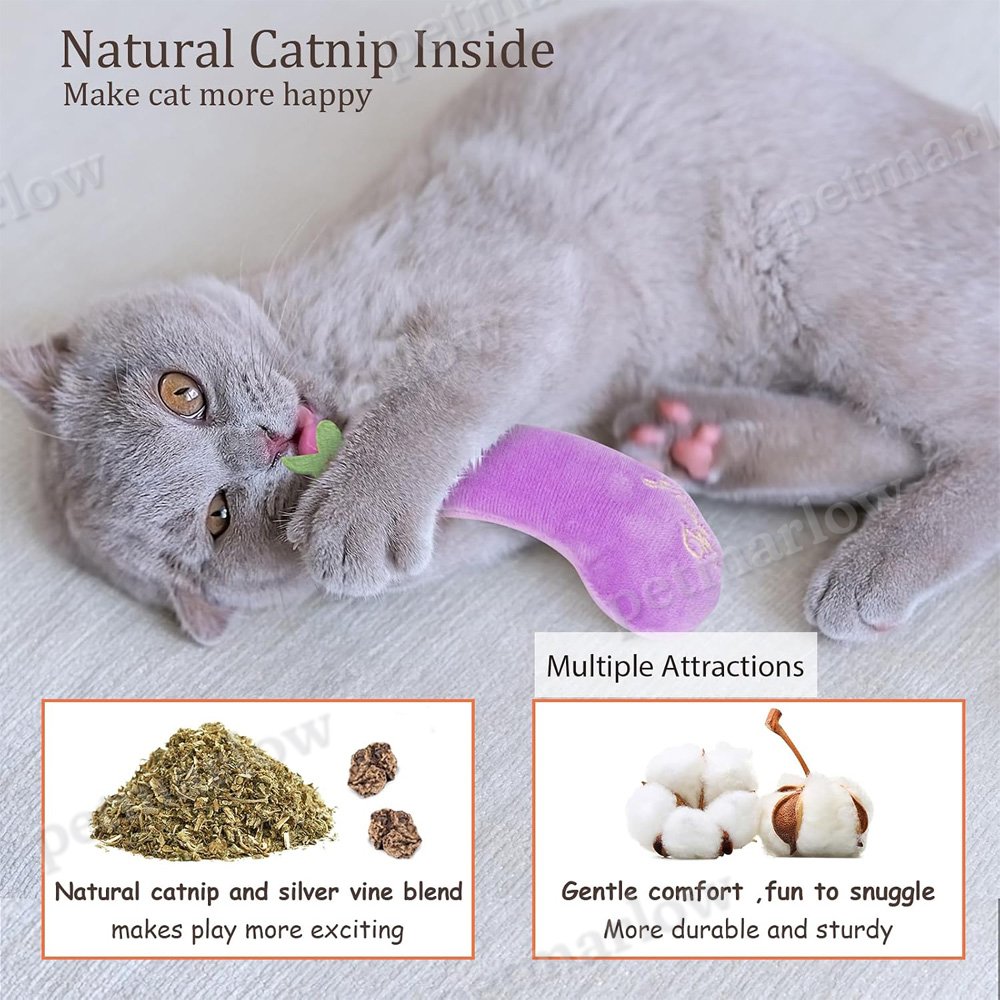 5 Pack Vegetable Catnip Plush Toys – view 3