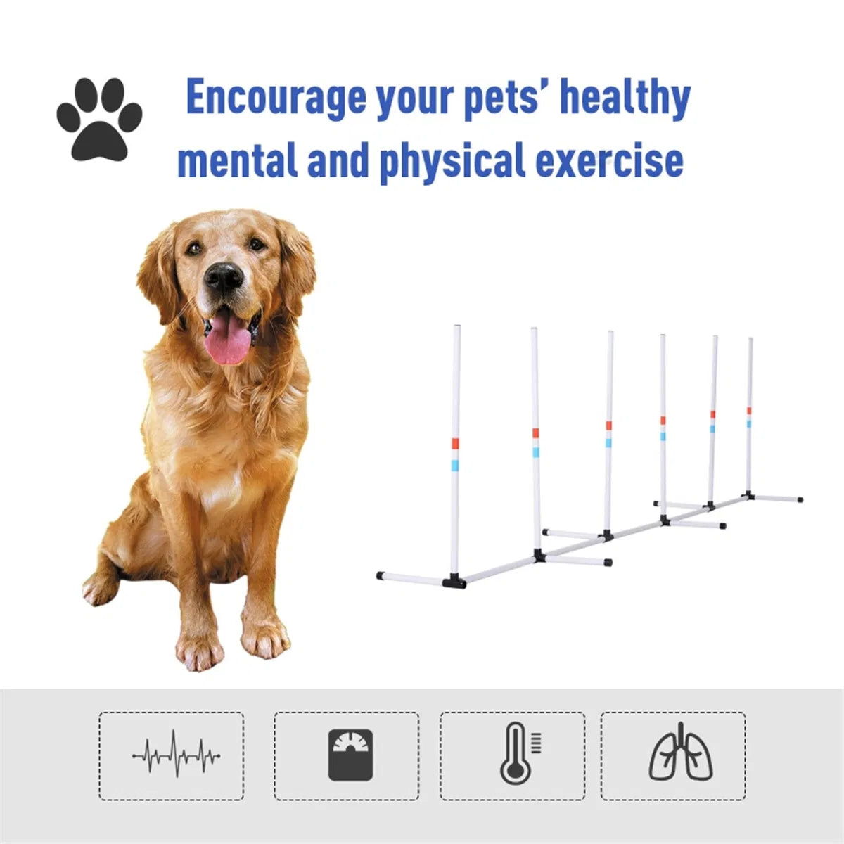 Dog Outdoor Exercise Training Set – view 8