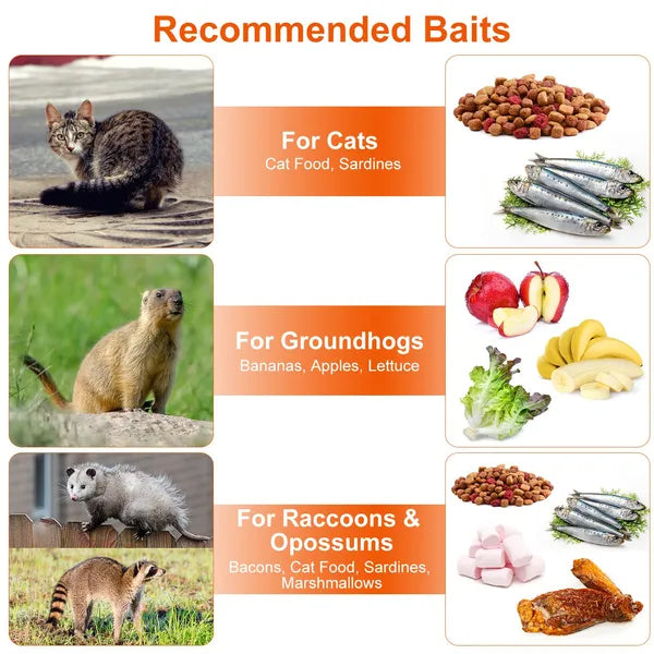 Live Animal Trap Cage for Cats and Small Animals – view 7