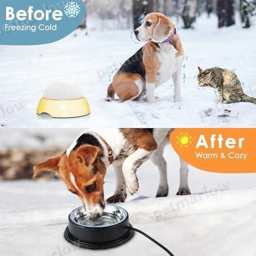 55W 80oz Removable Stainless Steel Heated Dog Pet Bowl with Anti Chew Cord – view 3