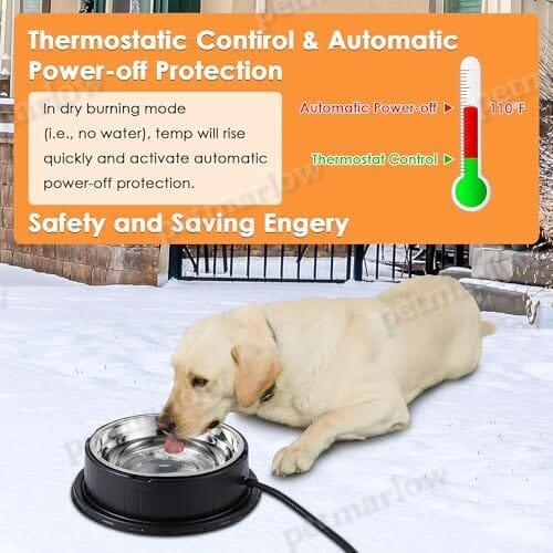 55W 80oz Removable Stainless Steel Heated Dog Pet Bowl with Anti Chew Cord – view 4