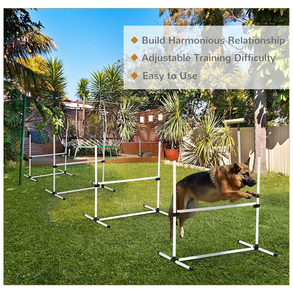 Dog Agility Training Equipment for Jumping Exercises – view 7