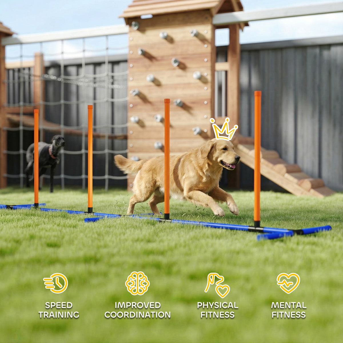 Dog Agility Training Equipment Adjustable Poles – view 9