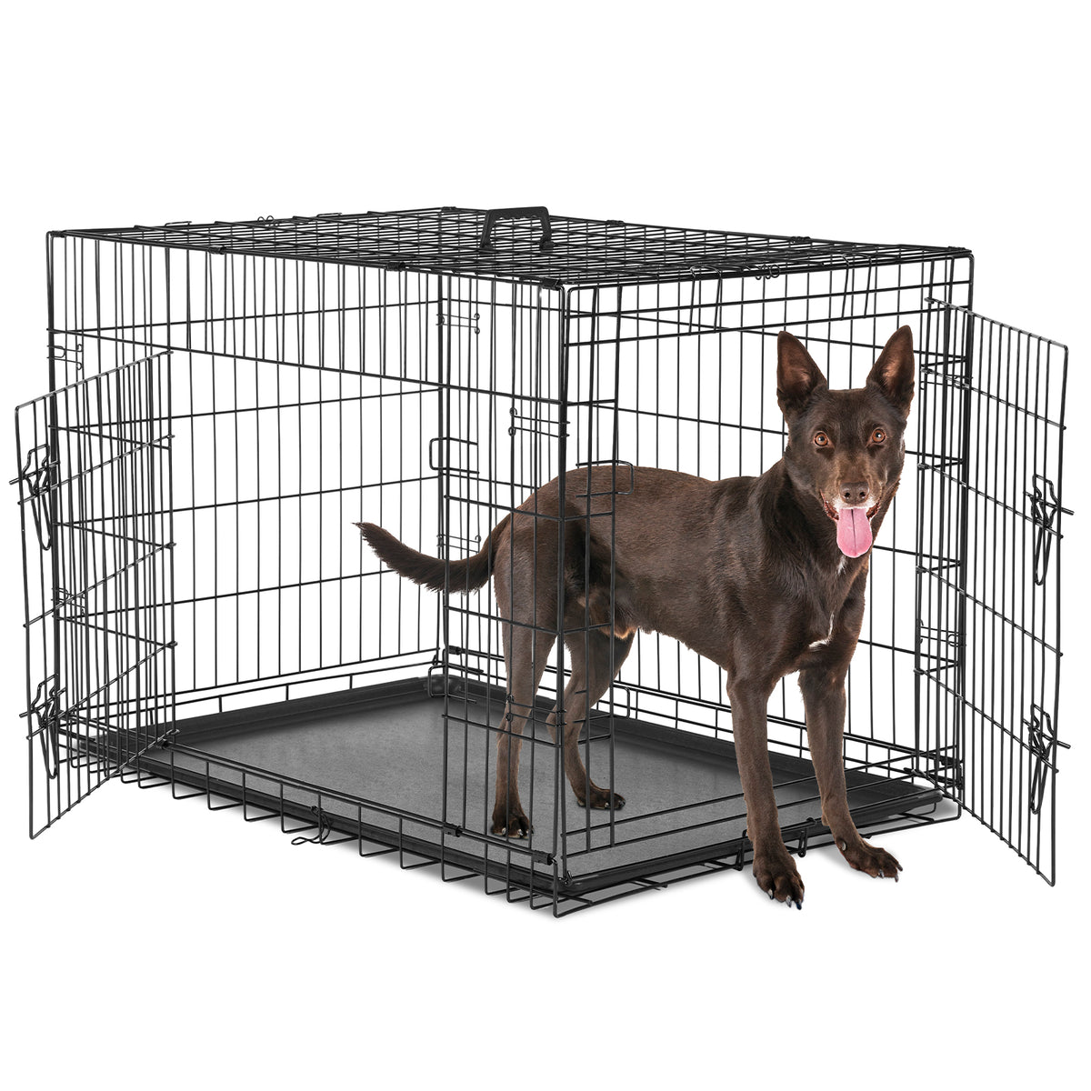 Metal Dog Crate with Two Doors