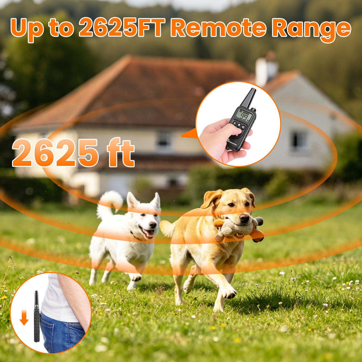 Dog Training Collar With Remote for Effective Training – view 7