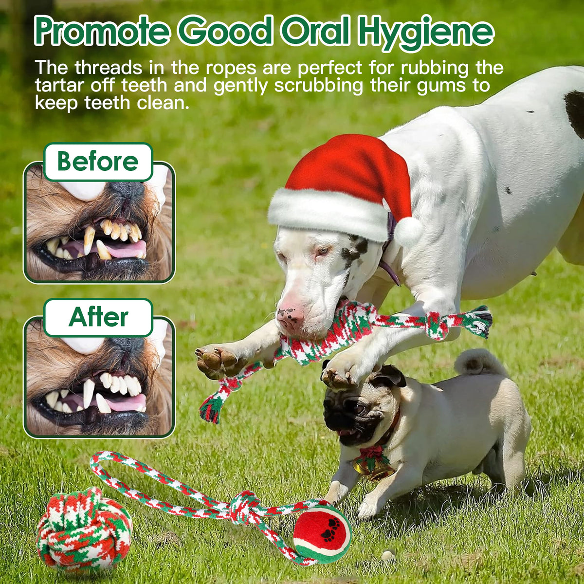 Christmas Rope Chew Toys for Dogs, 5-Pack