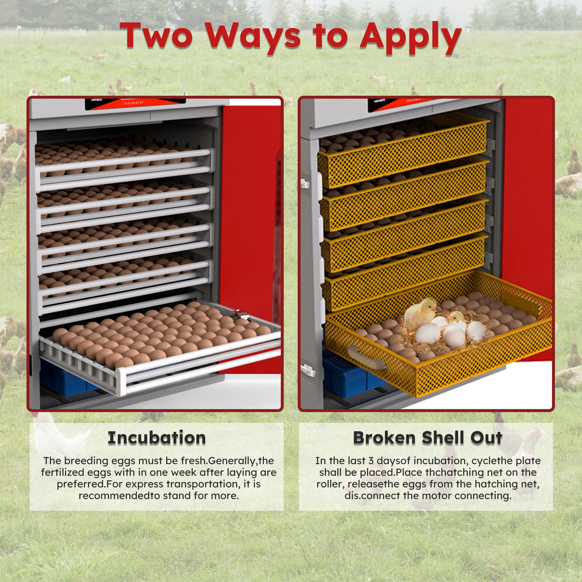 400-Egg Poultry Incubator with Auto-Turning & Digital Control – view 10