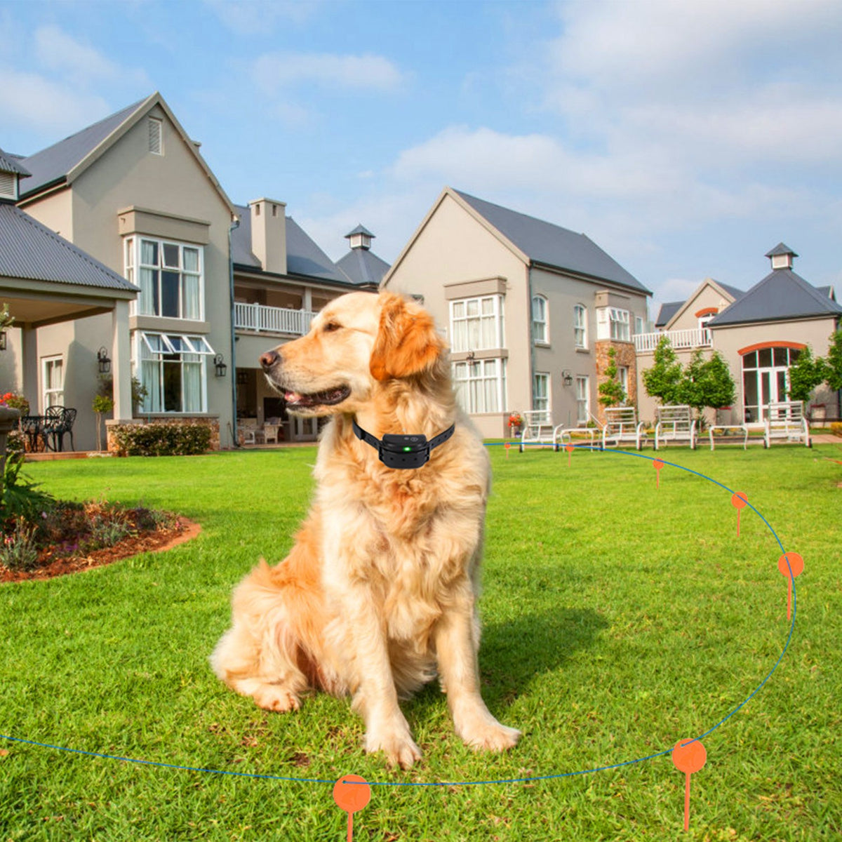 Dog Fence System with Adjustable Levels and Waterproof Receiver – view 9