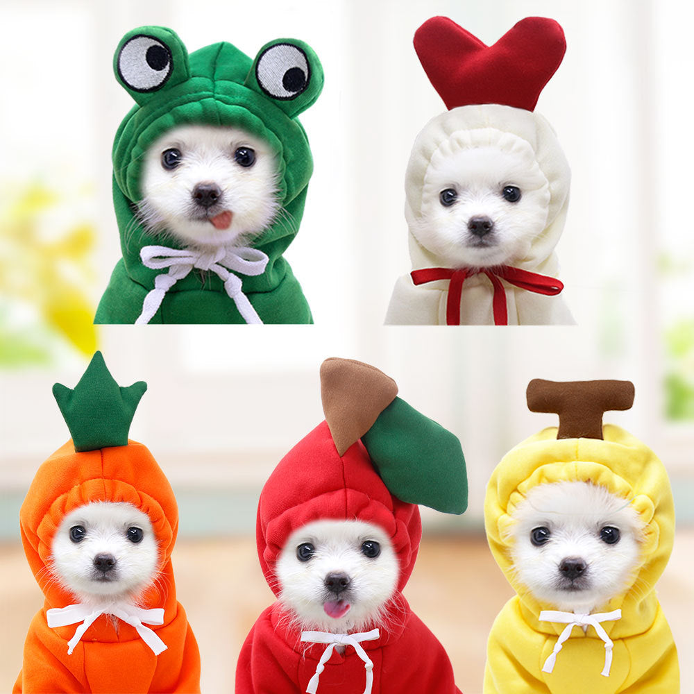 Cute Fruit Dog Clothes for Small Dogs Hoodies for Winter Warmth – view 13